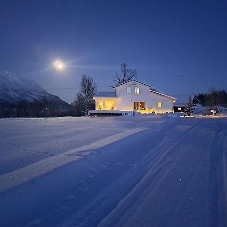 Mountainside Lodge - Breivikeidet Тромсё Экстерьер фото
