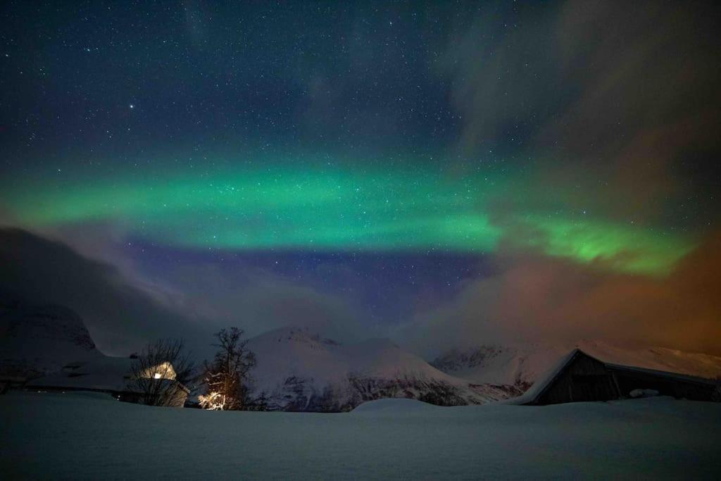 Mountainside Lodge - Breivikeidet Тромсё Экстерьер фото
