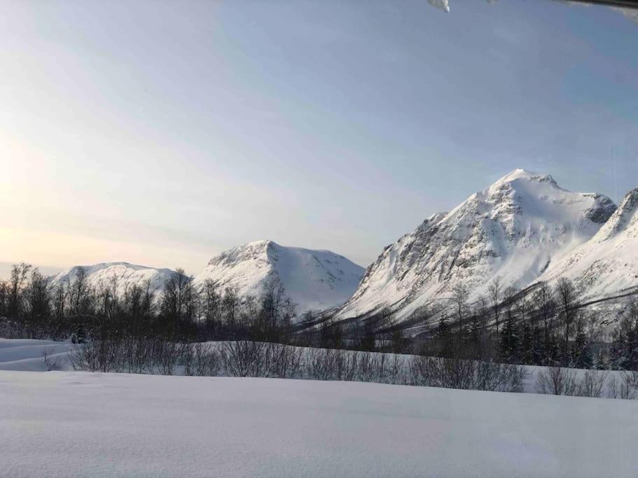 Mountainside Lodge - Breivikeidet Тромсё Экстерьер фото