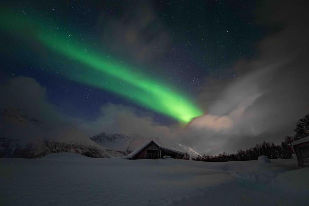Mountainside Lodge - Breivikeidet Тромсё Экстерьер фото