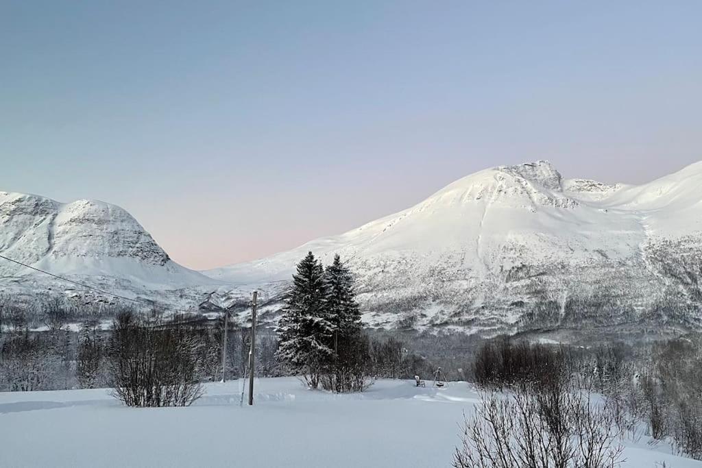 Mountainside Lodge - Breivikeidet Тромсё Экстерьер фото