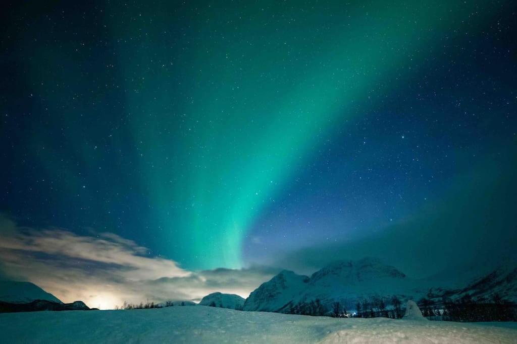 Mountainside Lodge - Breivikeidet Тромсё Экстерьер фото