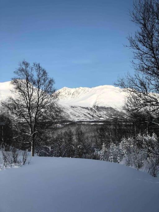 Mountainside Lodge - Breivikeidet Тромсё Экстерьер фото