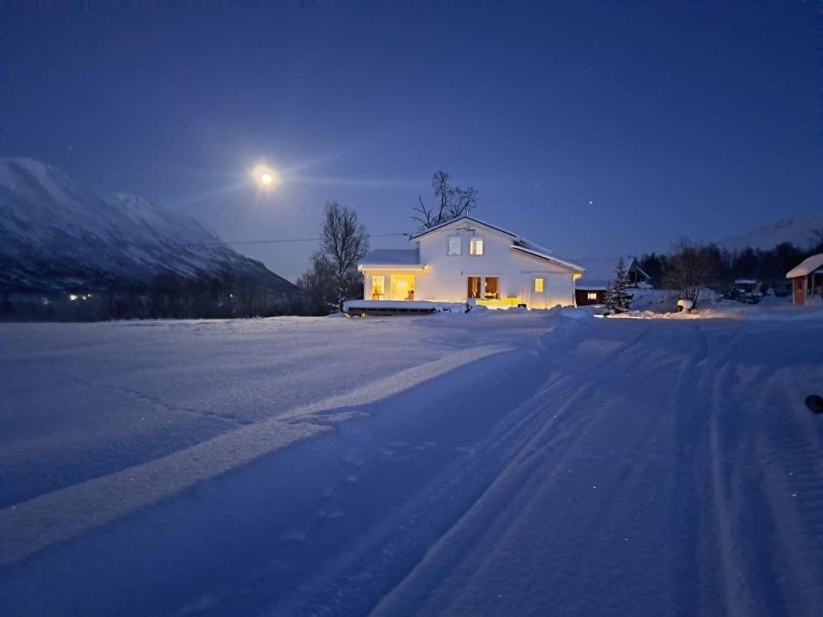 Mountainside Lodge - Breivikeidet Тромсё Экстерьер фото
